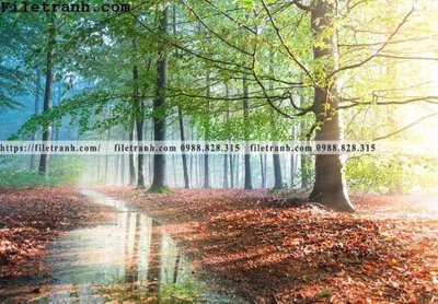 File PSD phong canh cay rung ngang 155 (nguyên bản) cho thiết kế