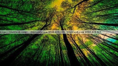 Ảnh gốc phong canh cay rung ngang 167 (siêu chi tiết) để in ấn