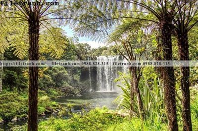 Tệp tin gốc phong canh cay rung ngang 174 (chất lượng cao) phong canh cay rung ngang 174