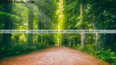 Tải file phong canh cay rung ngang 181 (gốc) in ấn chất lượng