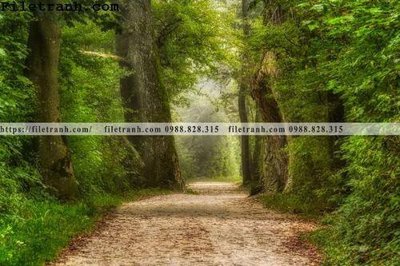 File in mica phong canh cay rung ngang 182 (bản gốc) siêu trong