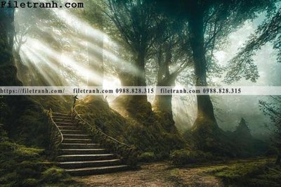 Tải file gốc phong canh cay rung ngang 191 (in không vỡ ảnh)