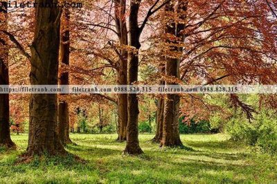 File gốc phong canh cay rung ngang 195 (trang trí) phòng ngủ