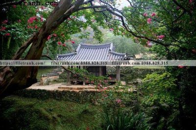 File PSD phong canh cay rung ngang 196 (bản gốc) dễ dàng edit