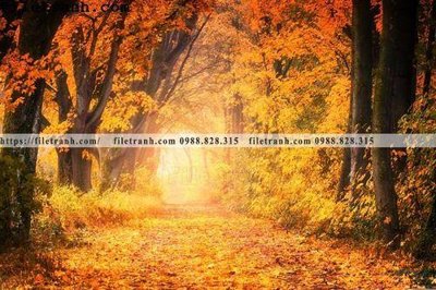 File gốc phong canh cay rung ngang 197 (phiên bản chuẩn) để in ấn