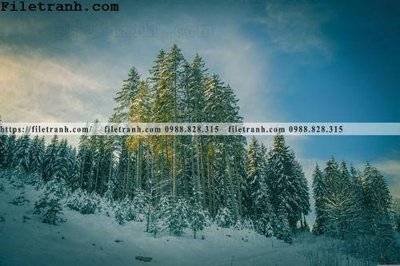 File tranh phong canh cay rung ngang 205 (gốc) chủ đề con người