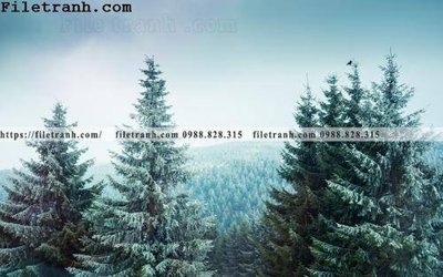 File tranh gốc phong canh cay rung ngang 213 (bản đẹp) độc quyền