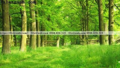 File tranh quảng cáo phong canh cay rung ngang 220 (download file gốc)