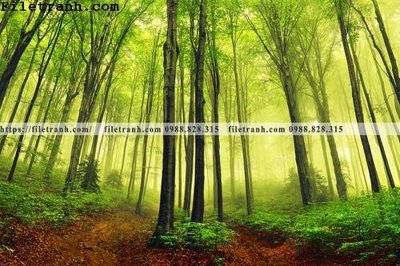 File in ấn phong canh cay rung ngang 225 (bản gốc) sắc nét