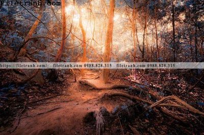 Download file phong canh cay rung ngang 237 (gốc) cho xưởng in