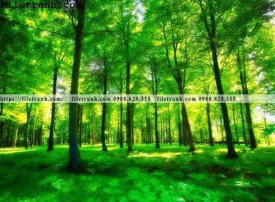 File gốc phong canh cay rung ngang 243 (trang trí) phòng ngủ