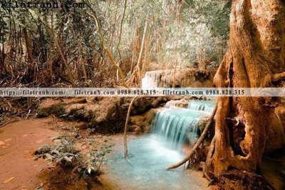 Tải file tranh phong canh cay rung ngang 258 (ảnh gốc) ngay