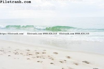 File gốc phong canh dai duong 123 (in lụa) trang trí tường