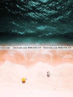 Download file gốc phong canh dai duong 133 (in mica) logo