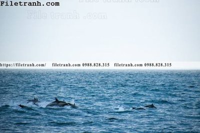 File ảnh phong canh dai duong 145 (gốc) in decal dán tường