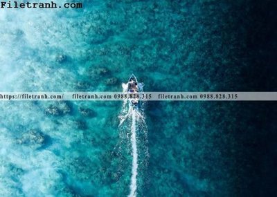 File gốc phong canh dai duong 185 (in lụa) trang trí tường