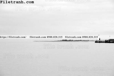 File gốc in ấn phong canh dai duong 199 chất lượng vượt trội