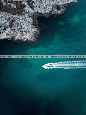 File in lụa phong canh dai duong 236 (hoa văn) phong canh dai duong 236