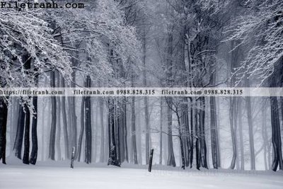 File gốc phong canh dep 106 (in ấn) màu sắc trung thực