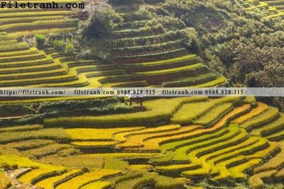 File PSD phong canh dep 112 (bản gốc) cho nhà in