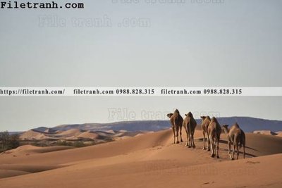 Tải file gốc phong canh dep 134 (in tráng gương) 3DFile gốc phong canh dep 134 (sẵn sàng in) chất lượng cao