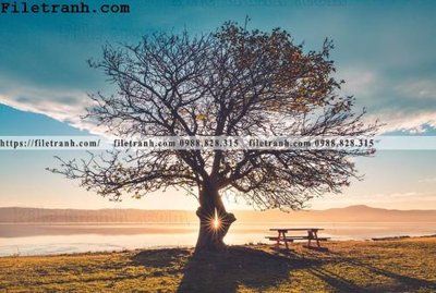 File PSD phong canh dep 146 (gốc) nhiều lớp (multi-layer)