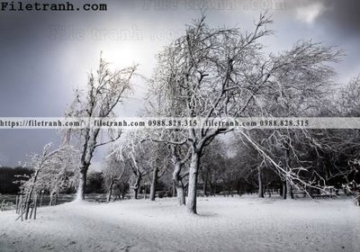 Mua file gốc phong canh dep 149 (PSD) tại Filetranh.com