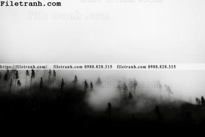 File tranh phong canh dep 177 (ảnh gốc) sắc nét hoàn hảo