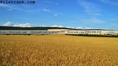 File tranh gốc phong canh dep 182 (sắc nét từng chi tiết)