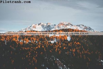 File in lụa phong canh dep 188 (chất lượng cao) phong canh dep 188