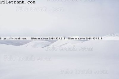 Tải file gốc in lụa phong canh dep 203 siêu nét