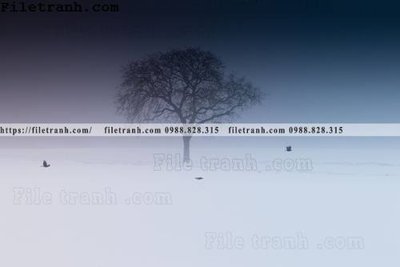 File tranh gốc phong canh dep 208 (bản quyền) Filetranh.com