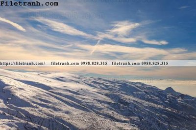 File gốc in tráng gương phong canh dep 242 chi tiết