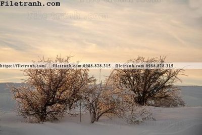 File gốc phong canh dep 243 (ảnh chi tiết) để in lụa