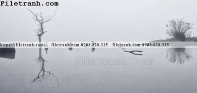 File gốc phong canh dep 247 (dành cho quảng cáo)