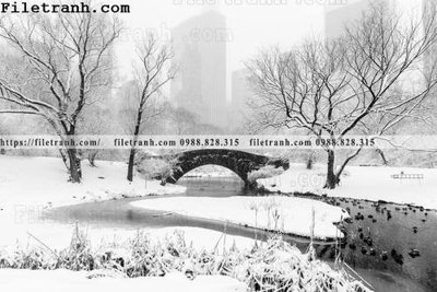 File tranh phong canh dep 250 (ảnh gốc) độc quyền