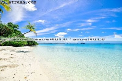 File tranh in mica phong canh dep 279 (độ phân giải cao)