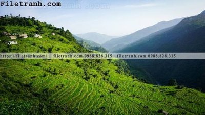 Download file gốc phong canh dep 286 (in lụa) hoa lá