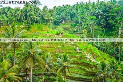 File tranh ảnh gốc phong canh dep 295 dùng cho in khổ lớn