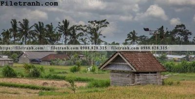 File gốc phong canh dep 298 (chủ đề hiện đại) trang trí