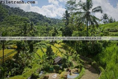 File gốc in tráng gương phong canh dep 299 chi tiết