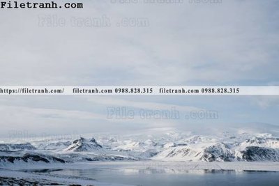 File in mica phong canh dep 307 (bản gốc) làm vách ngăn