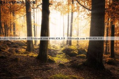 File gốc phong canh dep 311 (chủ đề hiện đại) trang trí