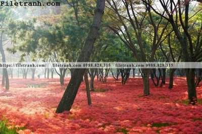 File gốc phong canh dep 354 (chuẩn CMYK) cho nhà in