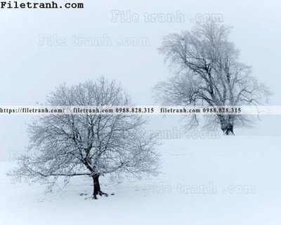 File PSD phong canh dep 363 (nguyên gốc) chất lượng cao