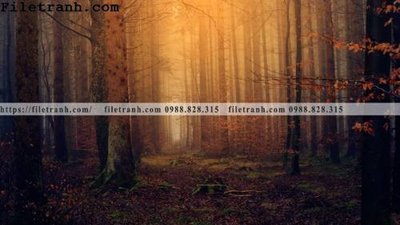 File tranh gốc phong canh dep 367 (bản quyền) file PSD