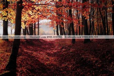 Tải file gốc phong canh dep 368 (in khổ lớn) không mờ