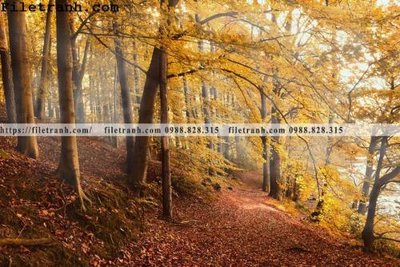 File gốc in mica phong canh dep 369 chất lượng