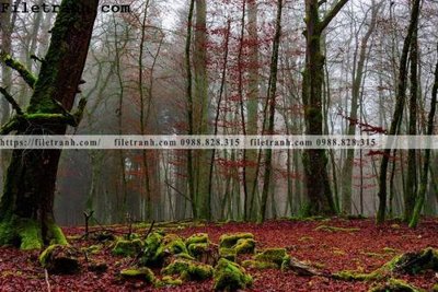 File gốc phong canh dep 373 (cho in 3D) độc đáo