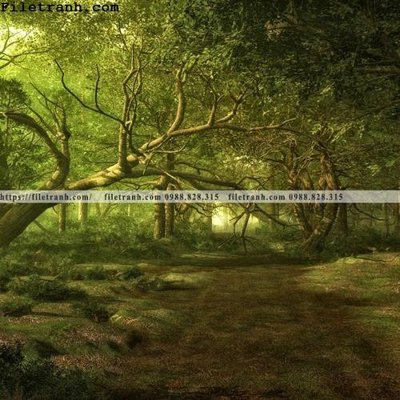 Tải file gốc phong canh dep 379 (in khổ lớn) không vỡ